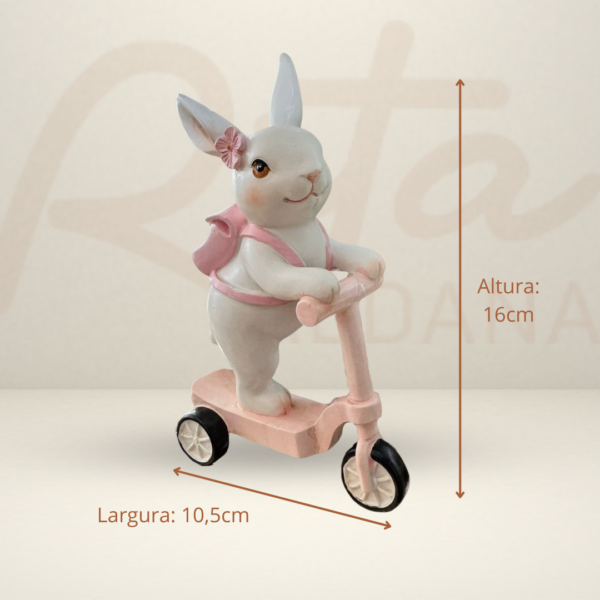 Coelha Patinete - Image 3