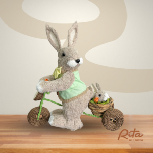Coelhos mãe e filho na bicicleta