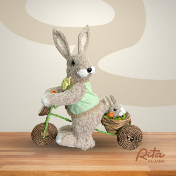 Coelhos mãe e filho na bicicleta
