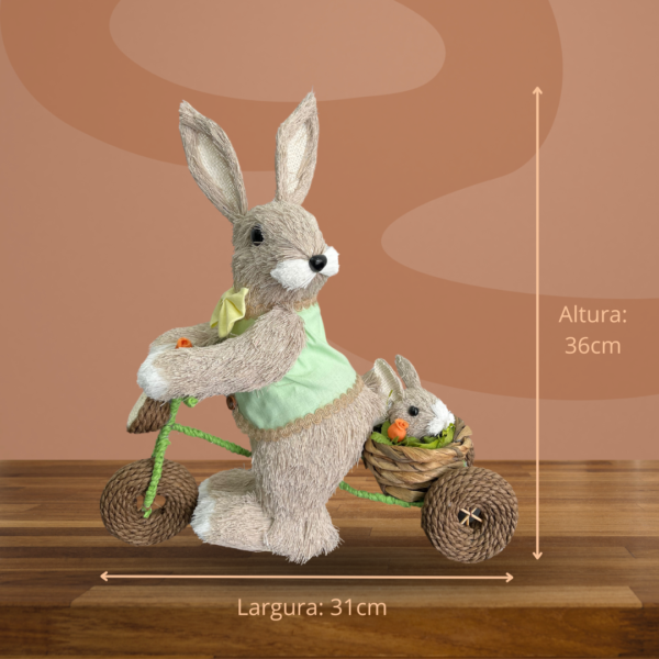 Coelhos mãe e filho na bicicleta - Image 6