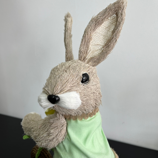 Coelhos mãe e filho na bicicleta - Image 3