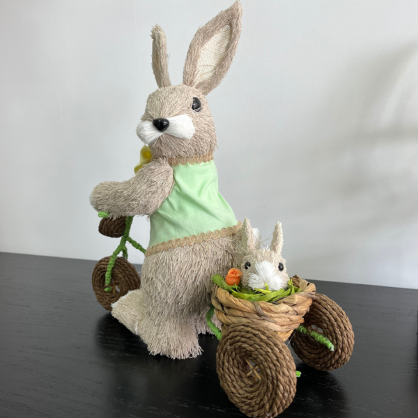 Coelhos mãe e filho na bicicleta - Image 5